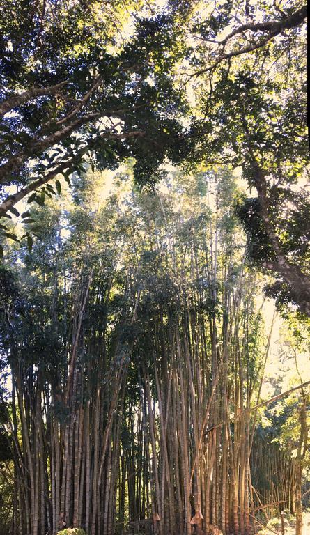 Pousada Arete Chapada dos Guimaraes Ngoại thất bức ảnh